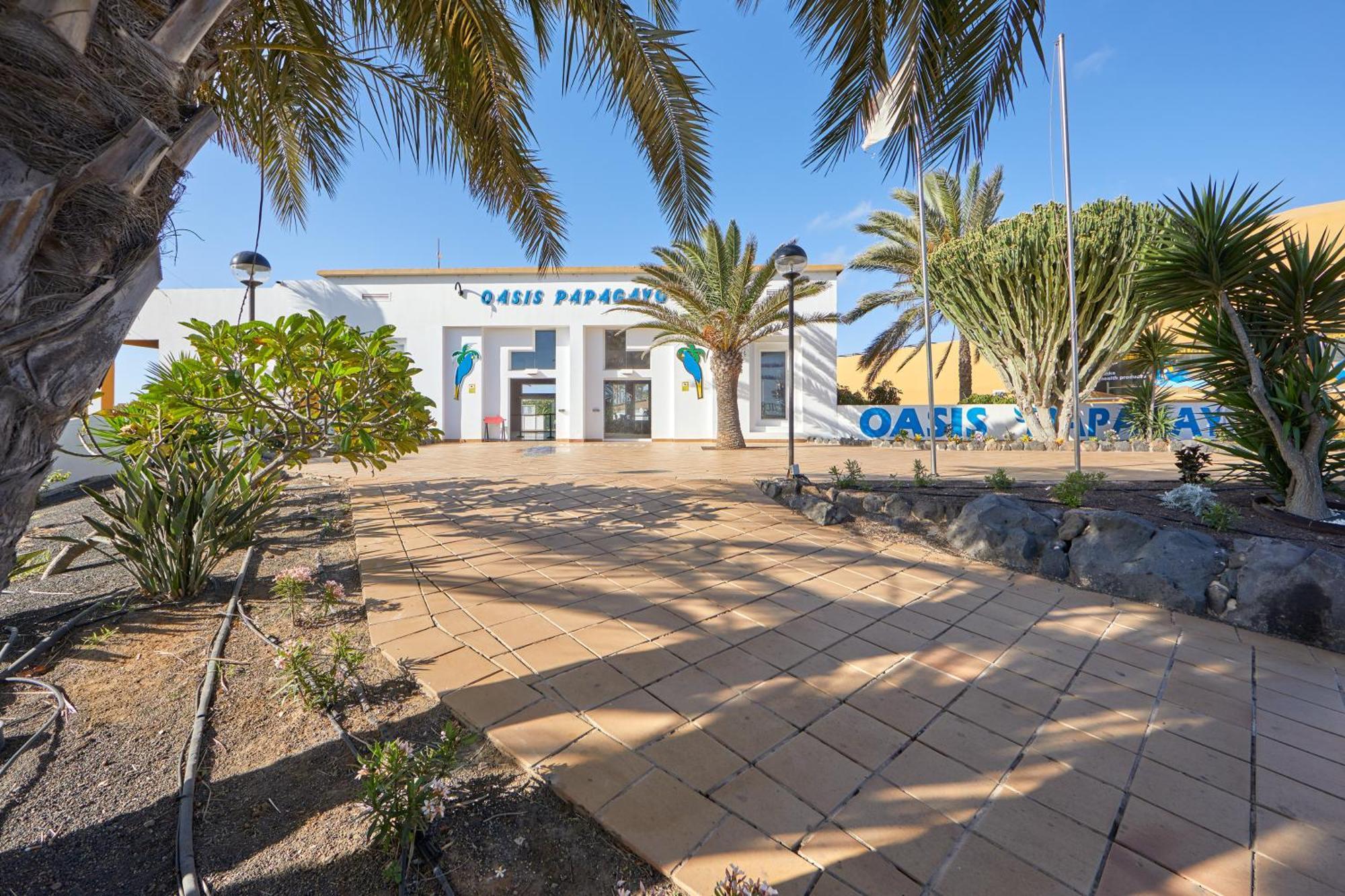Apartamento Samira Fuerteventura Corralejo Ngoại thất bức ảnh